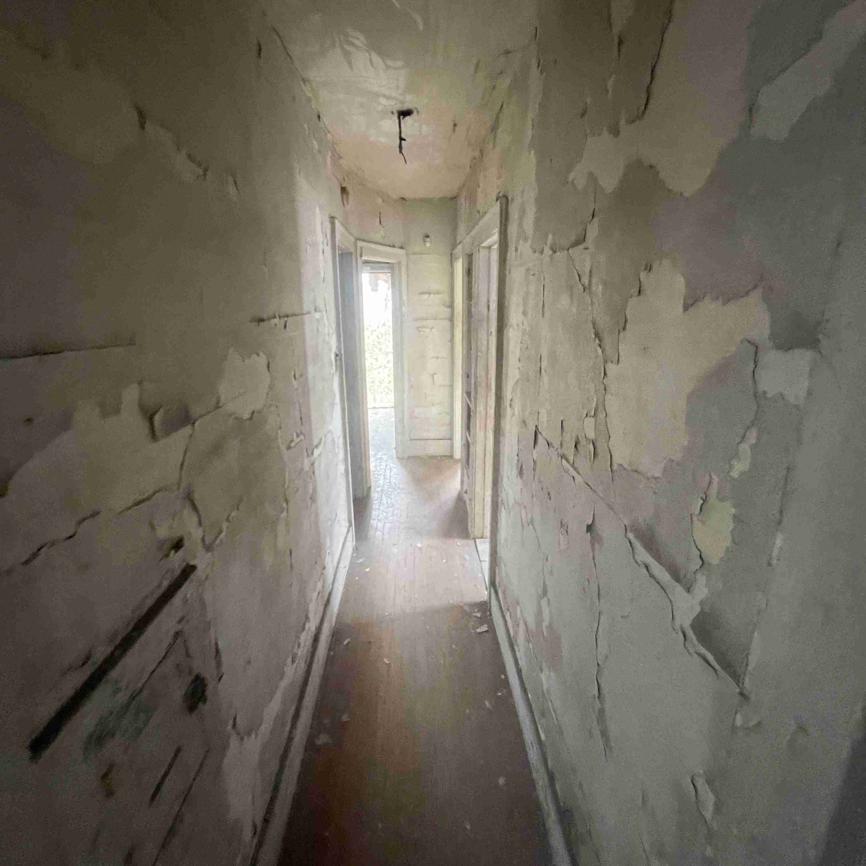 4039 Tuxedo (69).jpg